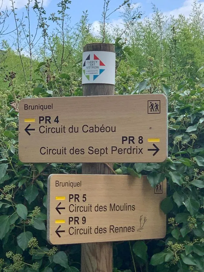 La Maison Des Ecureuils - Bruniquel